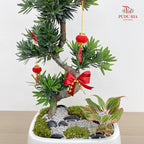 CNY Potted Plant Arrangement 2025#31