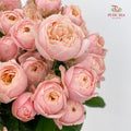 Rose Spray Butterfly Light Pink - (8-10 Stems)