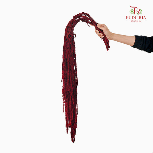 Preservative Amaranthus Maroon