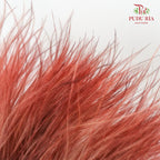 Dry Stipa Grass Red - Pudu Ria Florist Southern