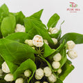Jasmine Flower 茉莉花 - (Per Bundle)