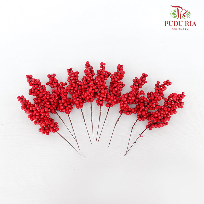 10' U Clump Ilex 21 cm