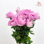 Rose Constance - (10-12 Stems)