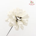 Dry Sunflower Seed Flower Pine Cone - White