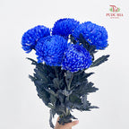 Peony Chrysanthemum Dyed Blue 牡丹菊 - (5 Stems)