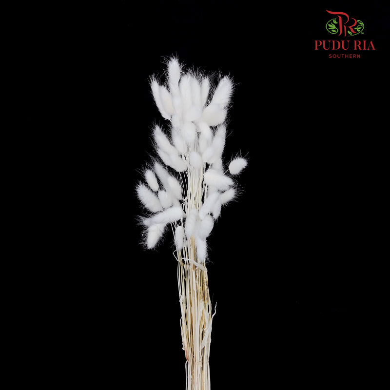 Dry Bunny Tails - White