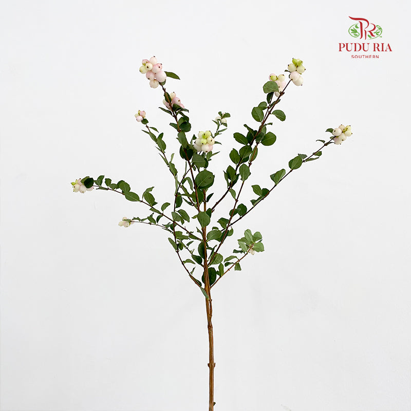 Snowberry Light Pink - (Per Bundle)