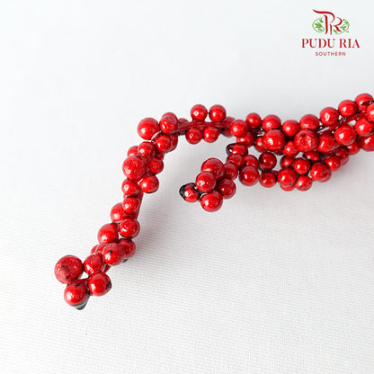 5`U Clump Ilex 35-40cm Red