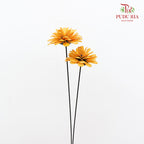 Dry Sunflower Seed Flower Pine Cone - Orange/Yellow