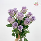 Rose Shocking Blue - (8-10 Stems)