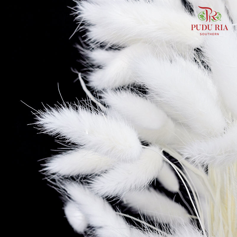 Dry Bunny Tails - White