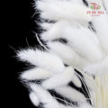 Dry Bunny Tails - White