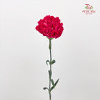 Carnation 康乃馨 Pink - (18-20 Stems)