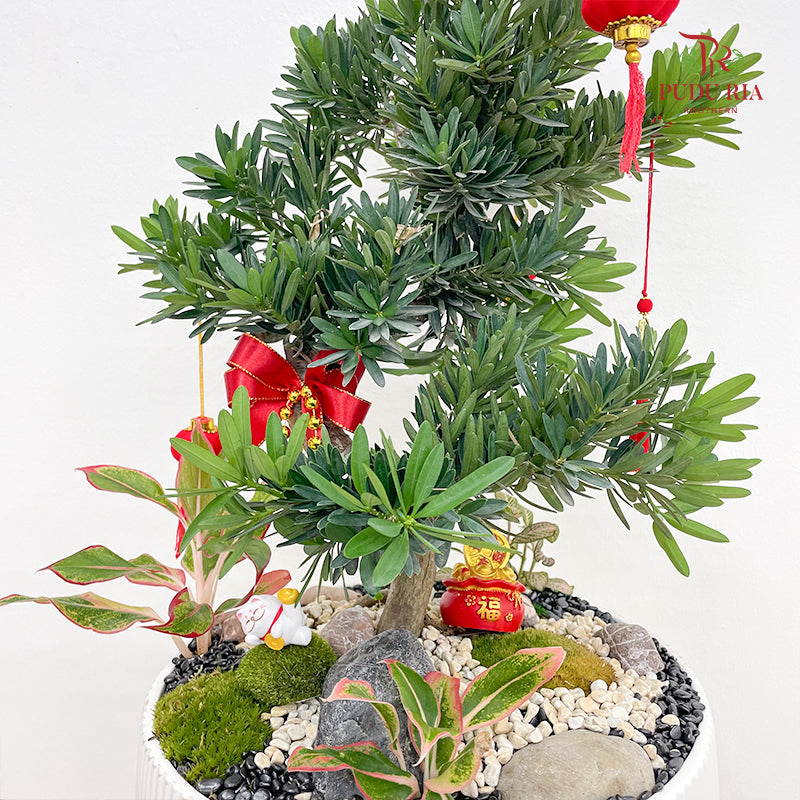 CNY Potted Plant Arrangement 2025#32