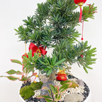 CNY Potted Plant Arrangement 2025#32