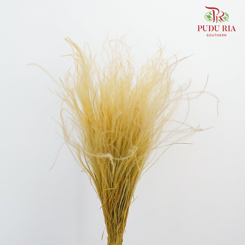 Dry Stipa Grass Yellow - Pudu Ria Florist Southern