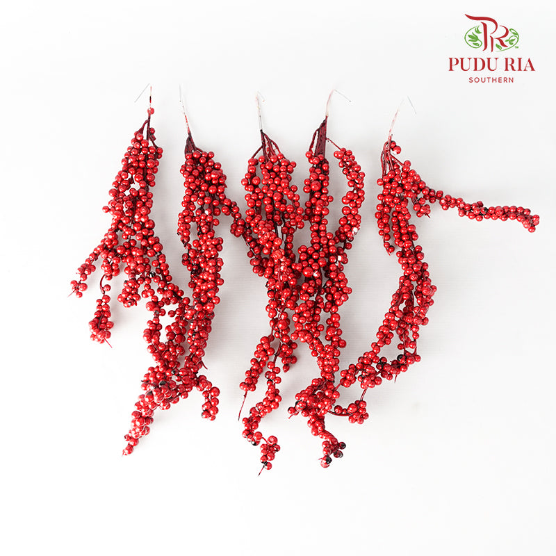 5' U Clump Ilex 35-40cm Red