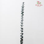 Preservative Eucalyptus Baby Blue - Green