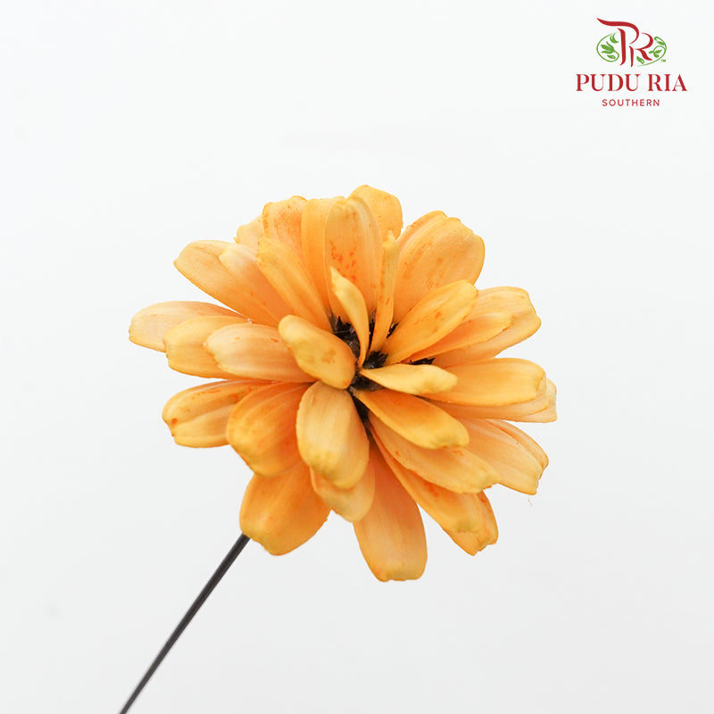 Dry Sunflower Seed Flower Pine Cone - Orange/Yellow