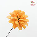 Dry Sunflower Seed Flower Pine Cone - Orange/Yellow