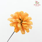 Dry Sunflower Seed Flower Pine Cone - Orange/Yellow