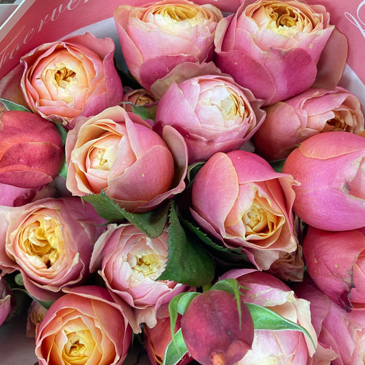 Rose Spray Butterfly Pink - (8-10 Stems)