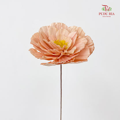 Dry Peony Handmade Apricot - Per Stem