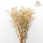 Preservative Baby Breath - Natural - Pudu Ria Florist Southern