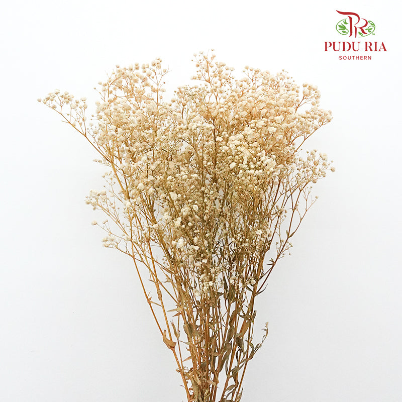 Preservative Baby Breath - Natural - Pudu Ria Florist Southern