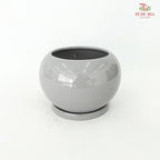 GF-8145  Asst Pot