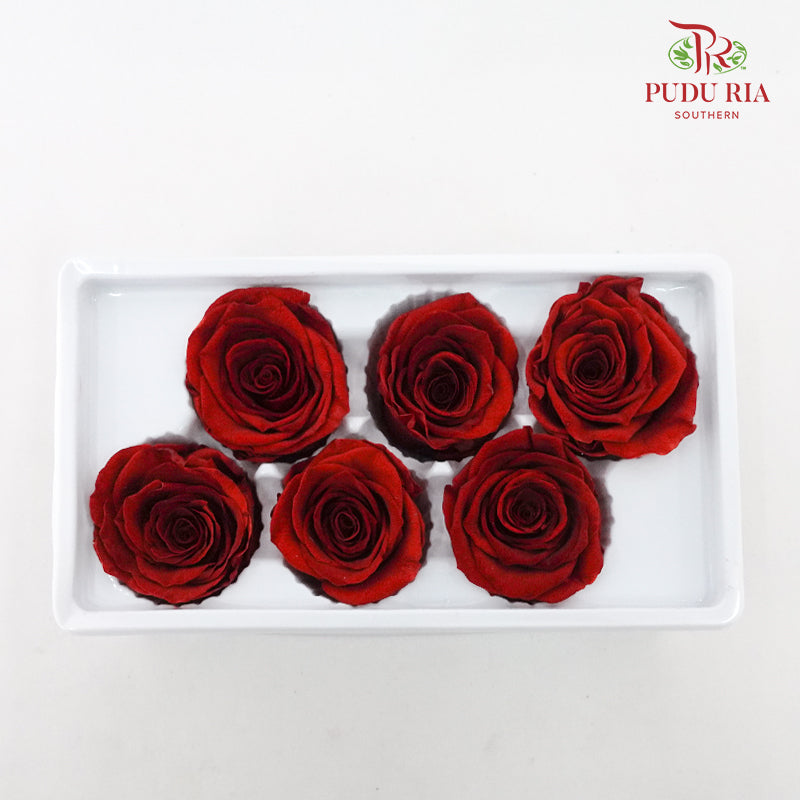 6 Bloom Preservative Rose - Reddish Brown - Pudu Ria Florist Southern