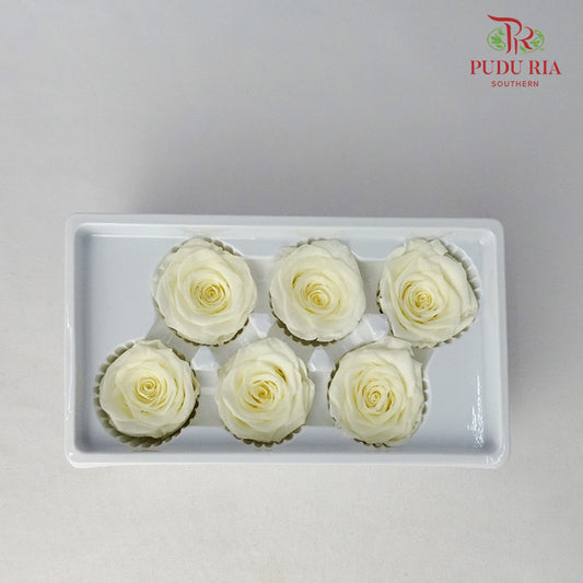 6 Bloom Preservative Rose - Light Yellow - Pudu Ria Florist Southern