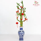 CNY Arrangement 2024#26