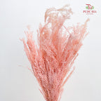 Dry Melaleuca Leaf Peach