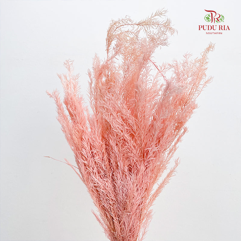 Dry Melaleuca Leaf Peach