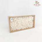 Preservative Reindeer Moss - White