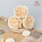 16 Bloom Austin Soap Flower Golden Haze - FBA088#4