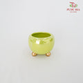 Asst Pot Green