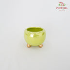 Asst Pot Green
