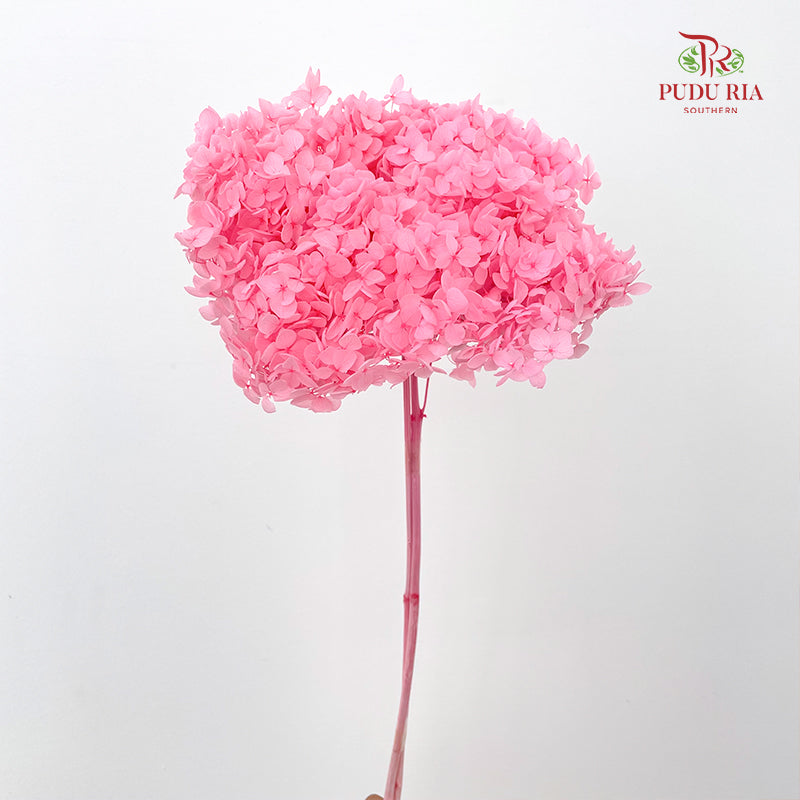 Preservative Hydrangea Small Petal -  Pink