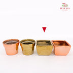 ZF Rose Gold & Gold Pot