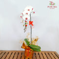 CNY Potted Plant Arrangement 2024#66