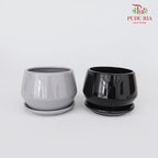 GF-8180 Asst Pot