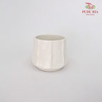TY-8847 Asst Pot