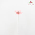 Dry Sunflower Seed Flower - Light Pink