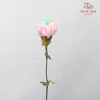 Carnation Dyed Rainbow  (8-10 Stems) - Pudu Ria Florist Southern