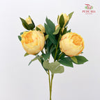 CNY Artificial Peony Sarah Spray Yellow 80cm - (2 Stems)