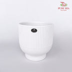 JW729000 White Pot