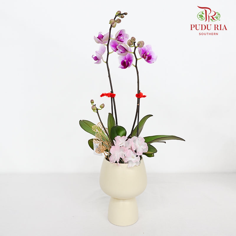 CNY Potted Plant Arrangement 2024#88
