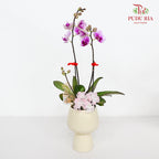 CNY Potted Plant Arrangement 2024#88